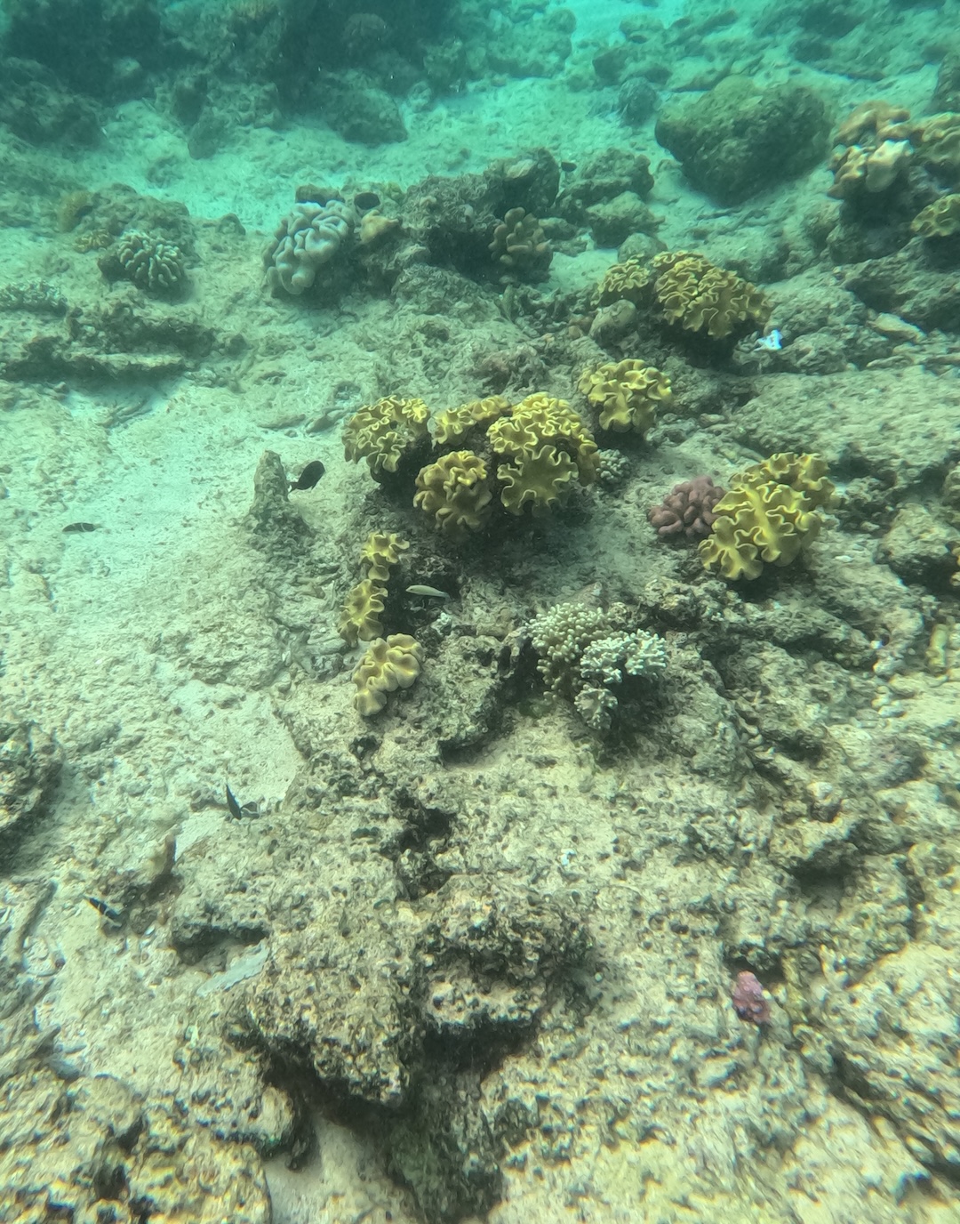 The reef area with the four tie-off options